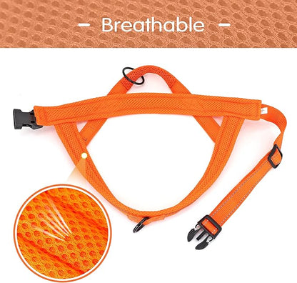 Didog No Pull Dog Harness with Soft Mesh Padded,Reflective & Quick Fit Light Weight Dog Strap Vest Harness,Easy for Walking Training (S:Chest 18-22", Orange)