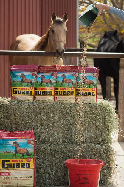Horse Guard 4.6 lb, Equine Vitamin Mineral Supplement with Organic Selenium & Vitamin E