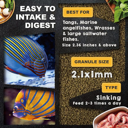 Ultra Fresh Marine Fish Food, 75% Sword Prawns + Squids, Natural Protein, Color Enhancement, for Large Saltwater Fish, Marine Shrimp Patties L 2.12oz