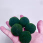 Sample Marimo Moss Balls For Aquarium Multiple Size - Kokedama Japanese Algae Ball