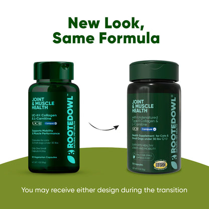 Joint & Muscle Health (Cats & Small Dogs)