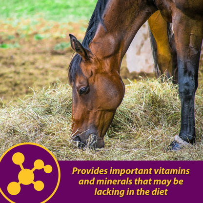 Horse Health Red Cell Supplement 32 oz. Yucca Vitamin Iron Mineral Blood Builder