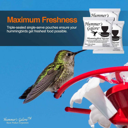 Hummer’s Galore Hummingbird Nectar Mix – Makes 64 oz
