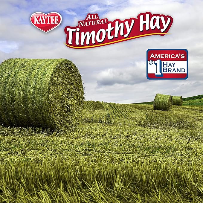 Kaytee Timothy Hay Plus Carrots for Pet Guinea Pigs, Rabbits & Other Small Animals, 24 oz (Pack of 2)