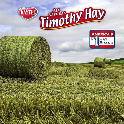 Kaytee Timothy Hay Plus Carrots for Pet Guinea Pigs, Rabbits & Other Small Animals, 24 oz (Pack of 2)