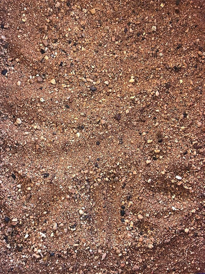 Australian Desert Dragon Habitat 20lb Substrate for Bearded Dragons and Other Lizards, Red (DESERT020)