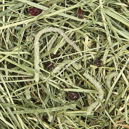 Kaytee All Natural Timothy Hay Plus Cranberries For Guinea Pigs, Rabbits & Other Small Animals, 24 Ounce