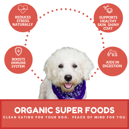 Dog Mamma's Organic Apple Cranberry Recipe - USDA Organic Certified Dog Treats