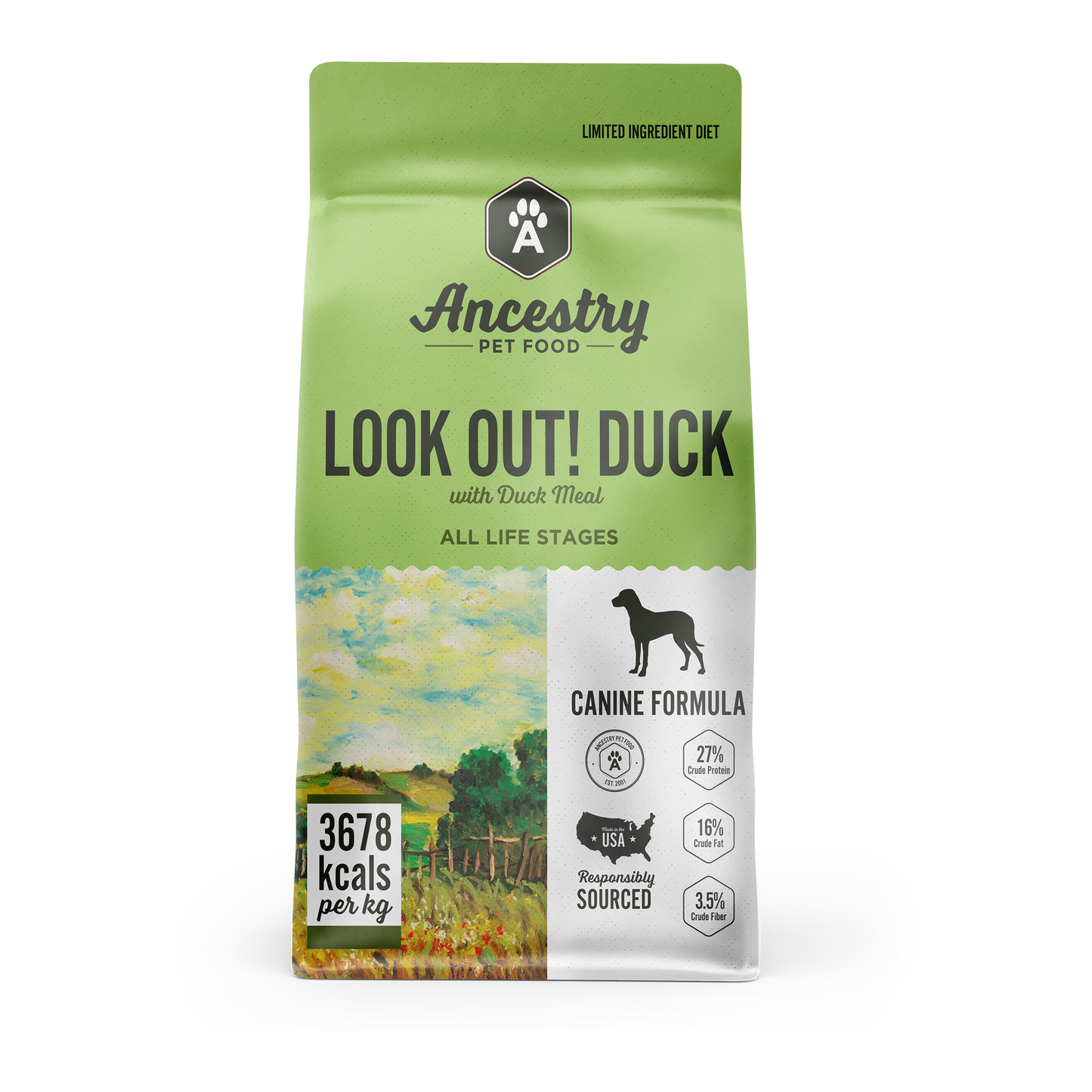Look Out! Duck