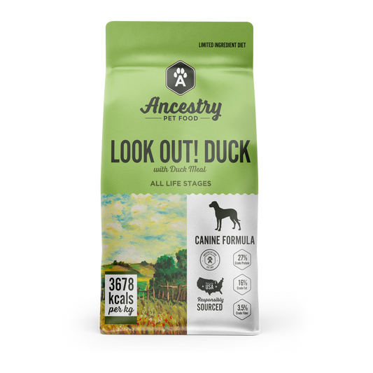 Look Out! Duck