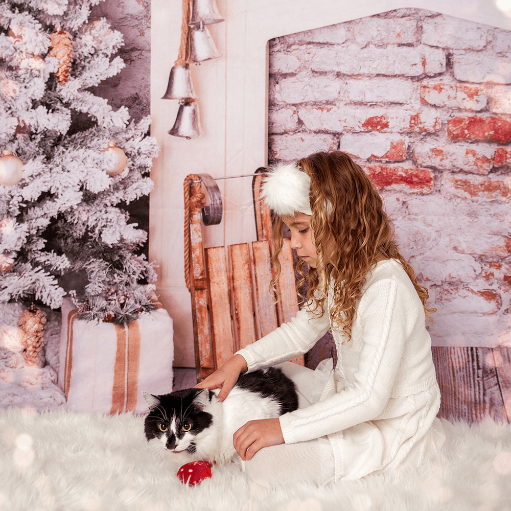 Cat Christmas Stocking with Toys