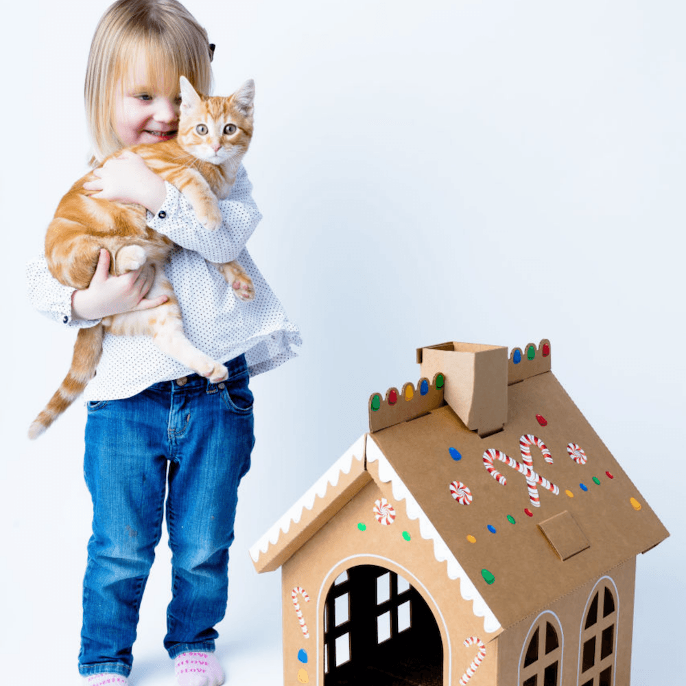 Cardboard Gingerbread Cat Playhouse Kit