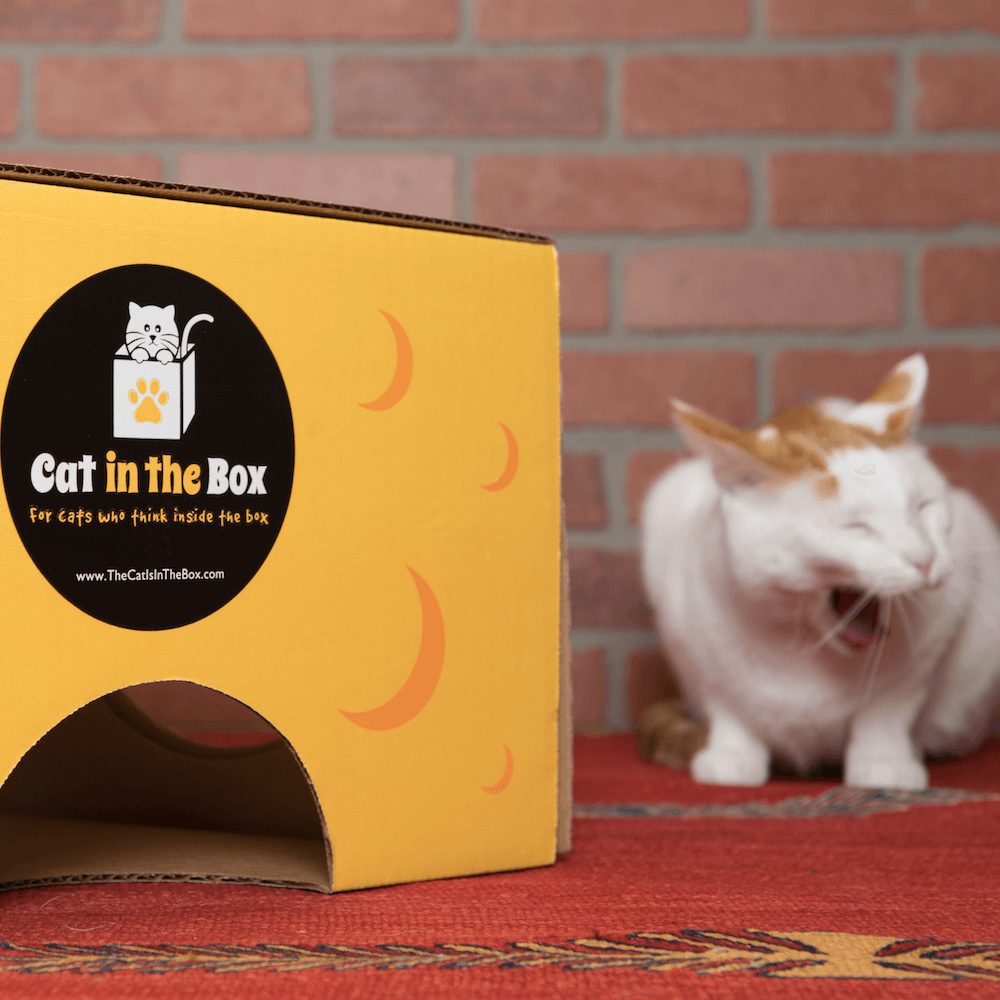 Monster Cheese Wedge Cardboard Cat House