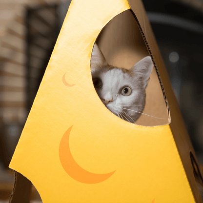 Monster Cheese Wedge Cardboard Cat House