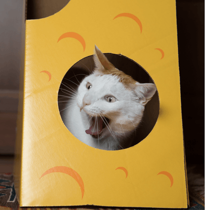 Monster Cheese Wedge Cardboard Cat House