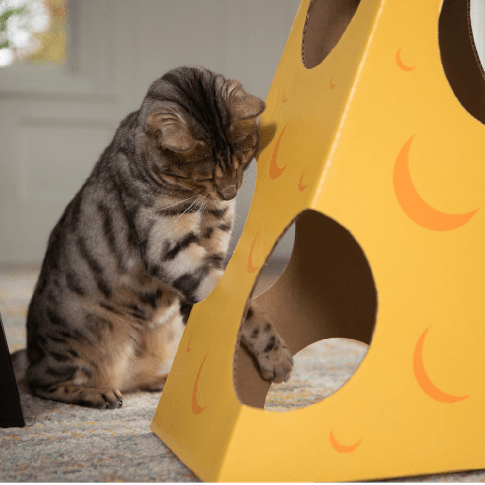 Monster Cheese Wedge Cardboard Cat House