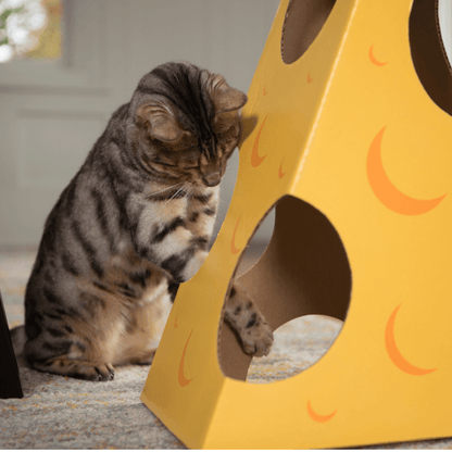 Monster Cheese Wedge Cardboard Cat House