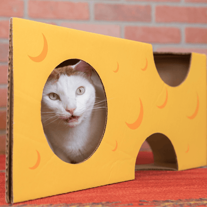 Monster Cheese Wedge Cardboard Cat House
