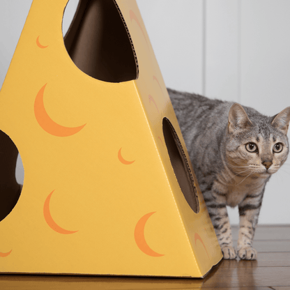 Monster Cheese Wedge Cardboard Cat House