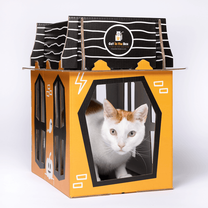 Spooky Cat Haunted House Cardboard Condo