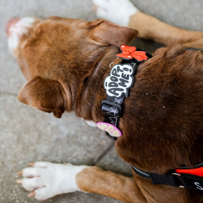 Adopt Me Jiby Dog Charm