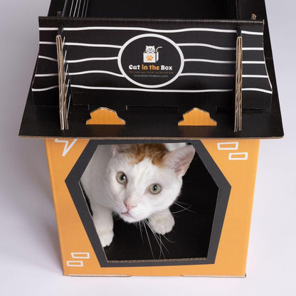 Spooky Cat Haunted House Cardboard Condo