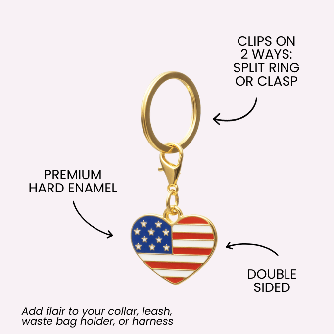 American Heart & Dabbing American Bear Pet Charm Set