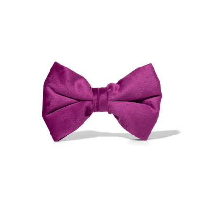 August Dog Bow Tie