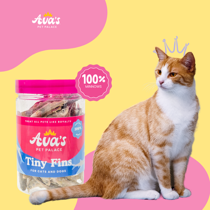 Freeze Dried Minnows - Tiny Fins