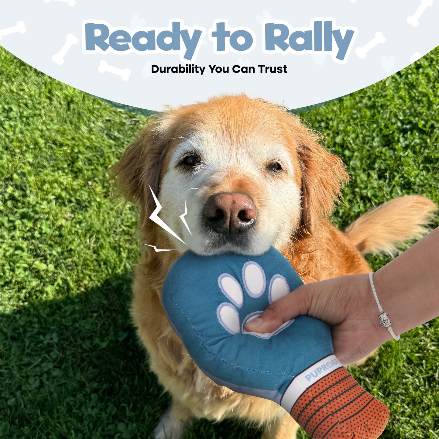 Pickleball Squeaky and Crinkle Paper Dog Toy -Funny Pickle Ball Puppy Gift