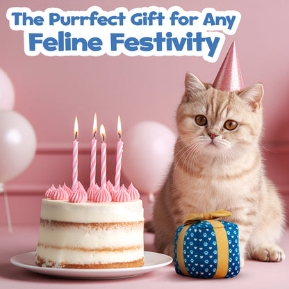 Cat Gift Box Catnip Toy – Crinkle Cat Toy for Indoor Cats, Cute Plush Birthday Present Kitty Toy with Catnip Inside