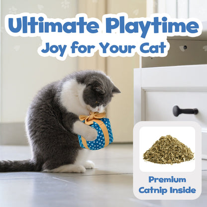 Cat Gift Box Catnip Toy – Crinkle Cat Toy for Indoor Cats, Cute Plush Birthday Present Kitty Toy with Catnip Inside