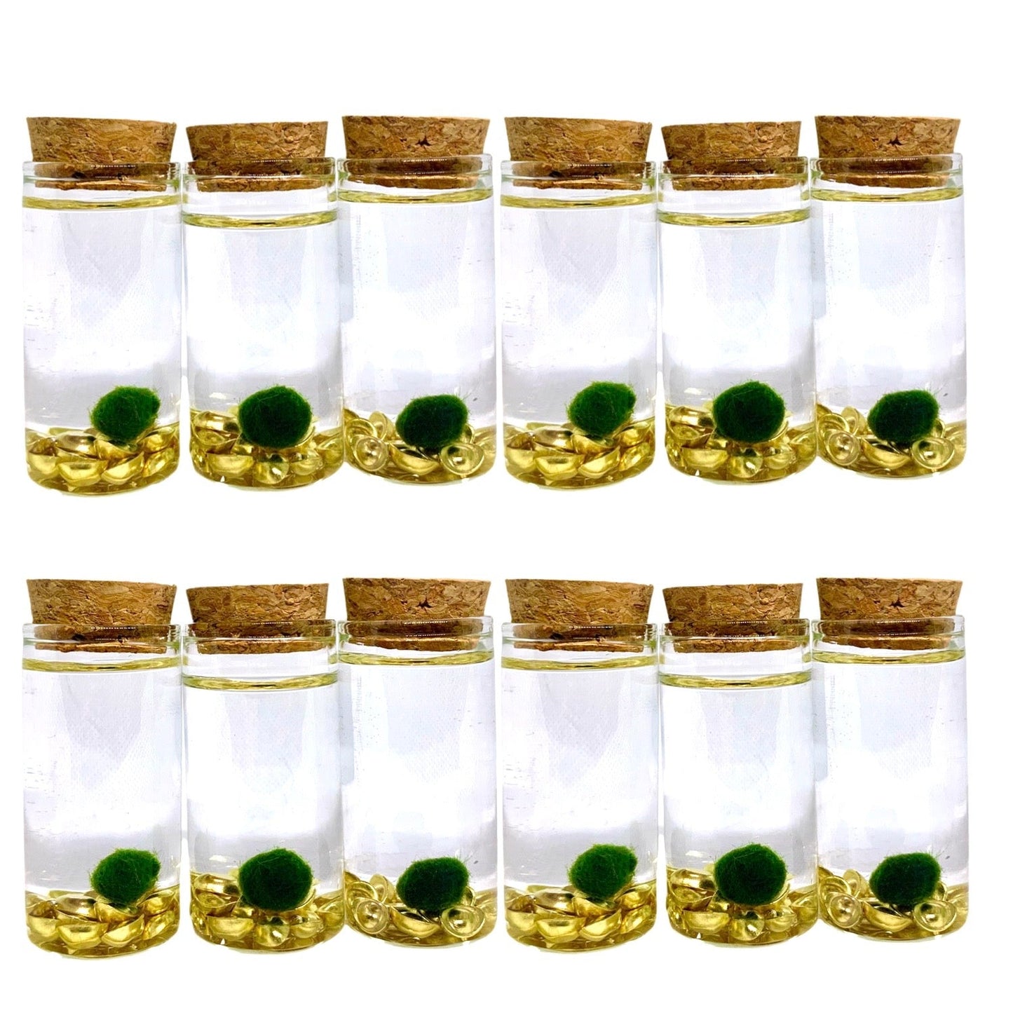 Fortune Moss Kit Office Desktop Decor