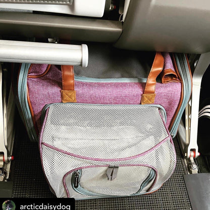 Mr. Peanut's Gold Series Big Apple XL Size Double Expandable Pet Carrier