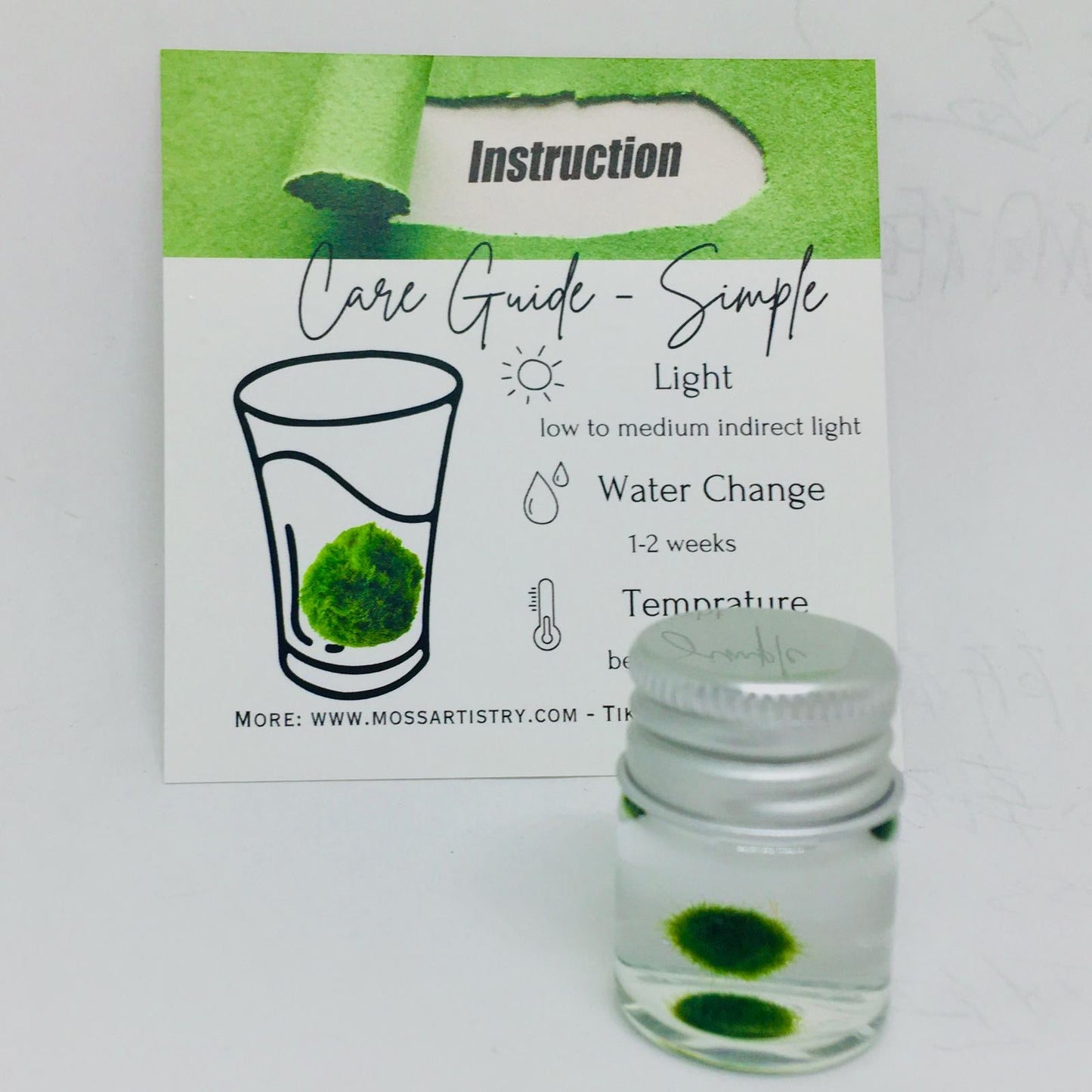 Super Mini Baby Marimo Moss Ball Kit Mini Moss Ball