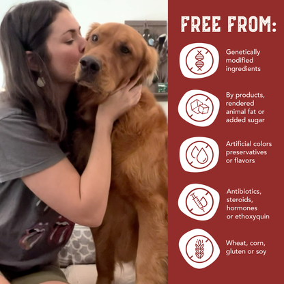 Bison & Fish Jerky Dog Treats