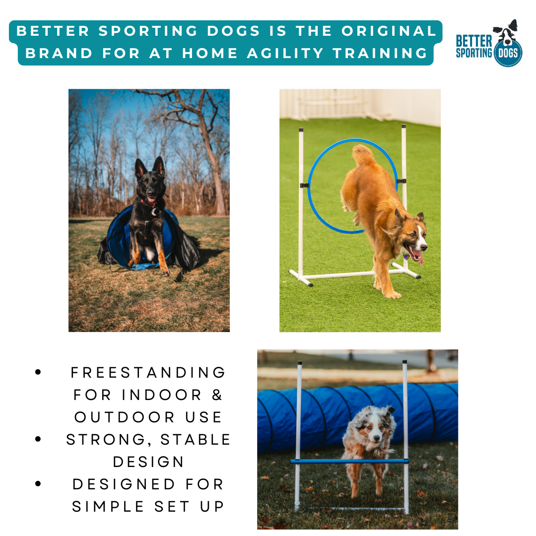 Better Sporting Dogs 5 Piece Dog Agility Equipment Set –  with Jumps, Tunnel, Pause Box & Weave Poles