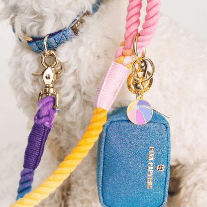 Beach Ball Pet Charm