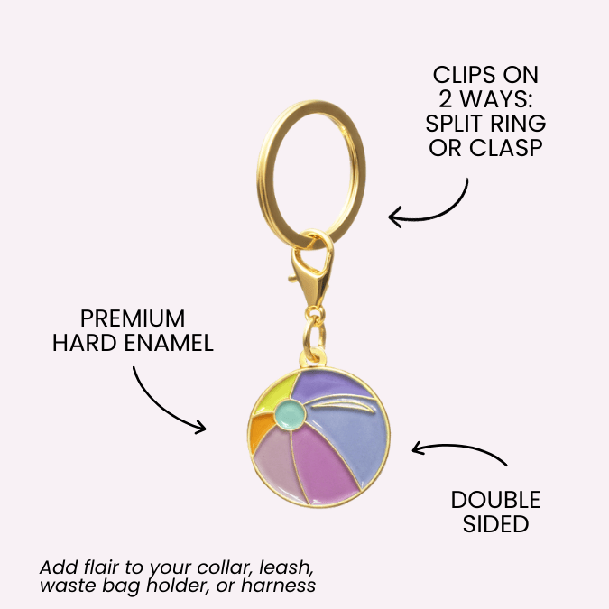 Beach Ball Pet Charm