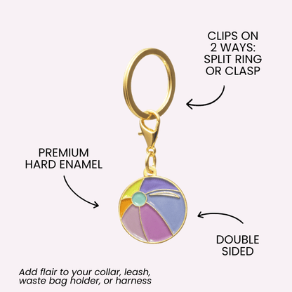 Beach Ball Pet Charm