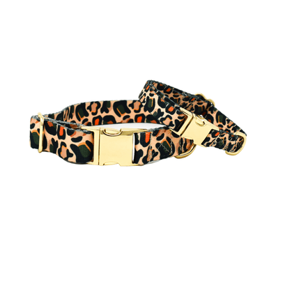 Beckett Dog Collar