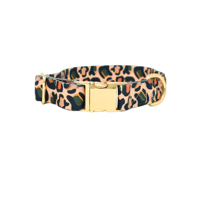 Beckett Dog Collar