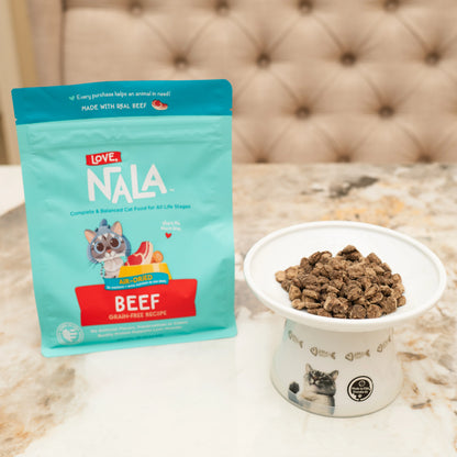 Beef Grain Free Recipe Air-Dried Adult Cat Food 1lb bag