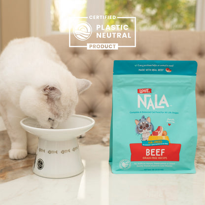 Beef Grain Free Recipe Air-Dried Adult Cat Food 1lb bag