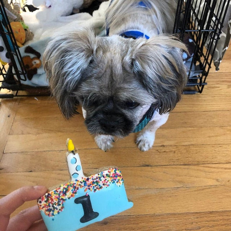 “CAKE & CANDLE™” Gift Set — Certified Lookie-a-Tookie™ Canine Cookies, Birthday Dog Treat Gift 🎂🐾