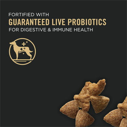 Pro Plan Adult Complete Essentials Turkey & Rice Probiotic Dry Dog Food