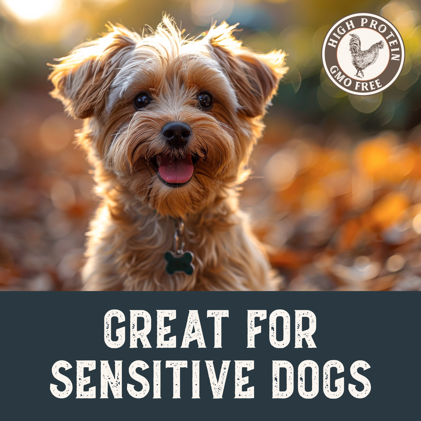 Grain-Free Chicken Tenders Dog Treats