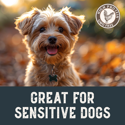 Grain-Free Chicken Tenders Dog Treats