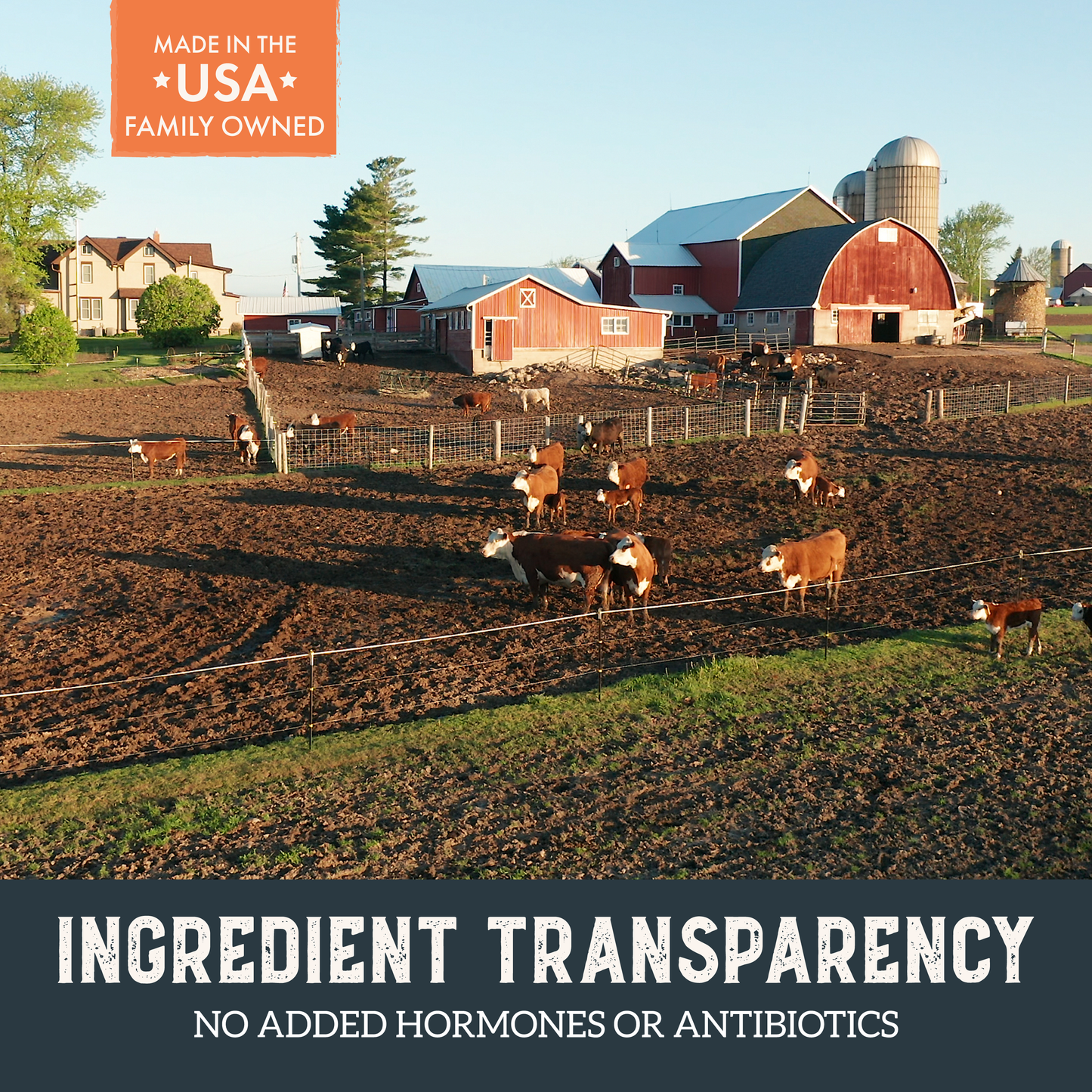 Grain-Free Chicken Tenders Dog Treats