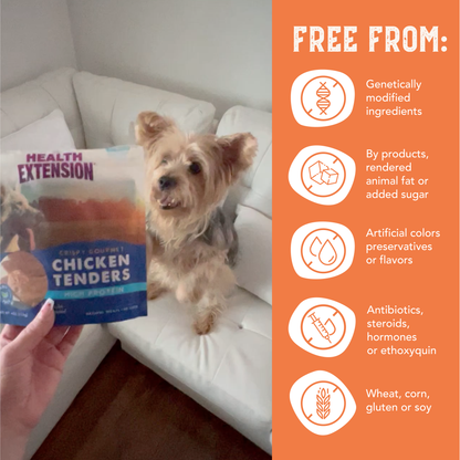 Grain-Free Chicken Tenders Dog Treats